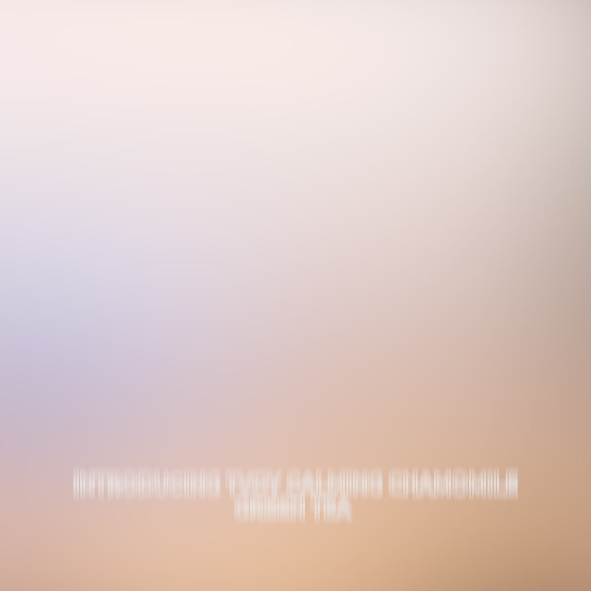 Tvoy Calming Chamomile Tea | 20 Biodegradable Tea Bags