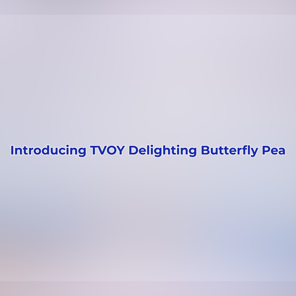 Tvoy Delighting Butterfly Pea Green Tea / Blue Tea | 20 Biodegradable Tea Bags