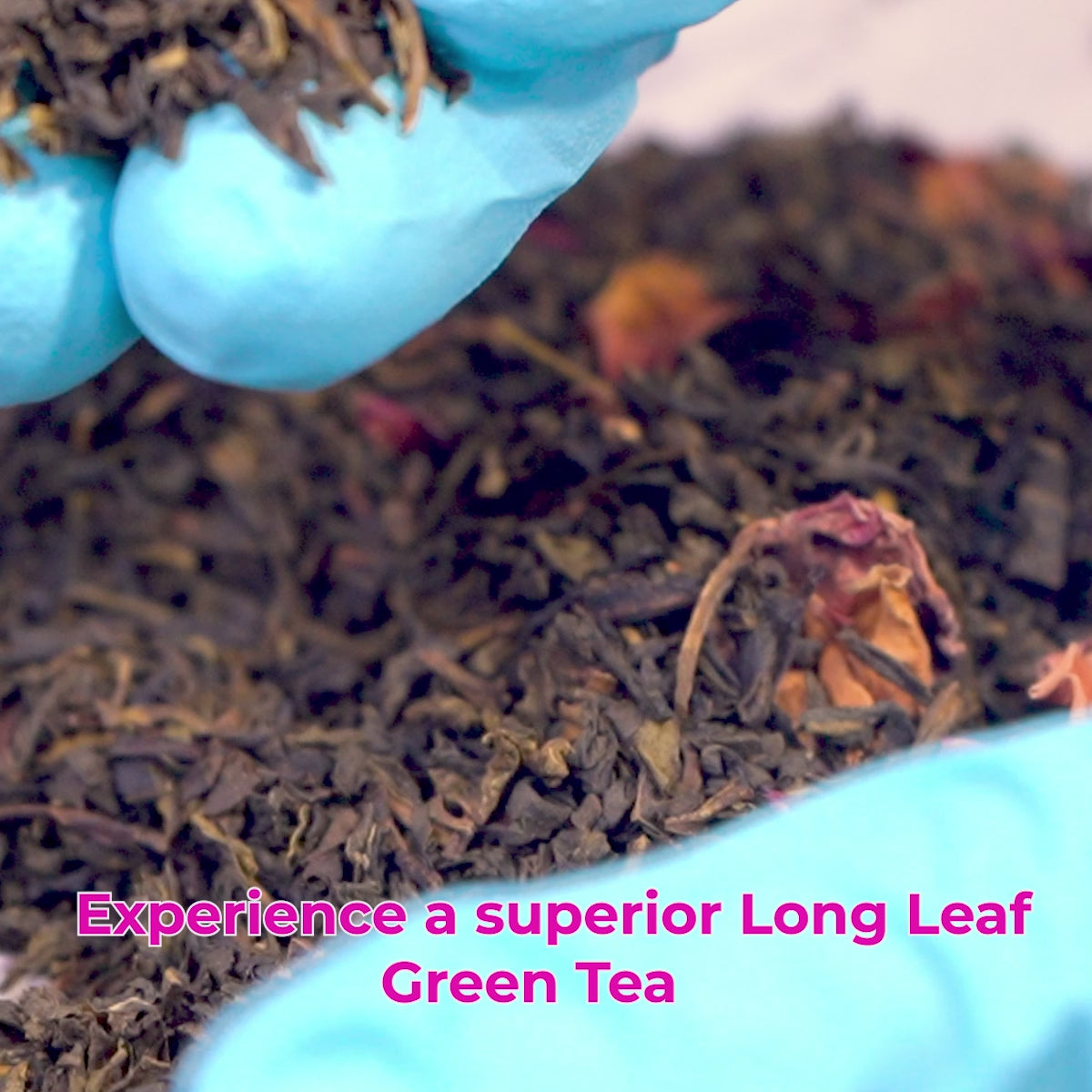 Tvoy Enchanting Rose Green Tea | 20 Biodegradable Tea Bags